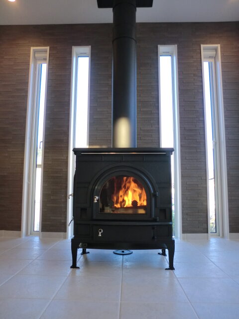 ダッチウエスト　FA２４４